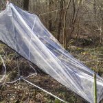Trappola Malaise nel Bosco della Partecipanza - Foto U. Maritano 